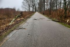 #33 17.02.2022r. Przebendowo - drzewo powalone na drogę powiatową nr DP 1430G