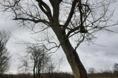 eRemiza_1119084_620e55ea1ecc501f881a27fc.rYX_.8