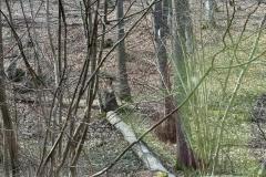 eRemiza_1119084_69d3a48cd4da763a640601ed.1LWX.8