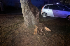 #36 19.03.2025r. Choczewo ul. Pucka - drzewo zagrażające powaleniem 