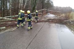 #38 19.02.2022r. Zwartowo - drzewo powalone na drogę powiatową nr DP 1322G