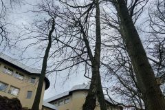 eRemiza_1119084_63f5dcd9d4da7643649c44a9.1GSR.8