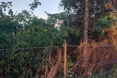 eRemiza_1119084_6644ff3ad4da7637d0f7b182.iB8_.8