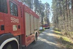 eRemiza_1119084_67fb94a4d4da76485c89119b.aov_.8