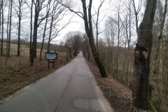 #46 Gościęcino - drzewo powalone na drogę powiatową nr DP 1322G
