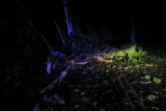 eRemiza_1119084_5d0556051ecc50475ce4f82b.DtE_.8
