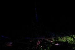 eRemiza_1119084_5d0556191ecc50475ce4f834.6WY.8