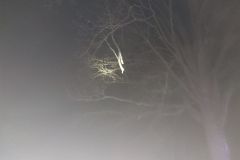 #5 09.01.2024r. Łętowo - 2 gałęzie zwisające nad drogą powiatową nr DP 1438G