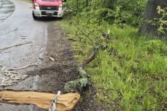 #52 17.05.2025r. Choczewko - konar zagrażający powalenim na drogę powiatową nr DP 1306G