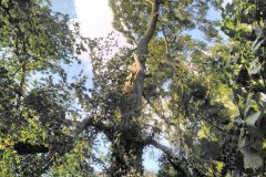 eRemiza_1119084_5d1b8fd01ecc505ae0f63bf5.wUK_.8