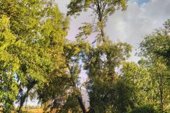 eRemiza_1119084_5d1b91211ecc505ae0f63c0a.15tf.8