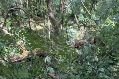 eRemiza_1119084_68440c0ad4da765578b085af.1Qit.8
