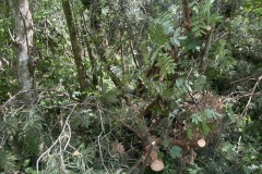eRemiza_1119084_68440c0ed4da765578b085b8.1XpN.8