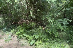 eRemiza_1119084_68440c14d4da765578b085c1.1XGO.8