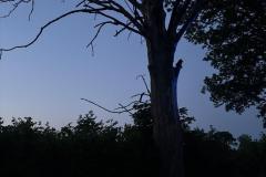 eRemiza_1119084_6852f261d4da7632dc0b0c52.PQf_.8