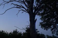 eRemiza_1119084_6852f26dd4da7632dc0b0c59.Sz2_.8