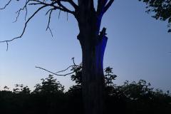 eRemiza_1119084_6852f278d4da7632dc0b0c60.MB1_.8