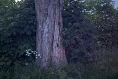 eRemiza_1119084_6852f284d4da7632dc0b0c68.Wdc_.8