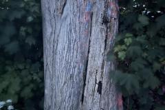 eRemiza_1119084_6852f28fd4da7632dc0b0c70.dLM_.8