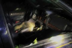 eRemiza_1119084_5d2fb2531ecc506b44da8ef2.GjY_.8