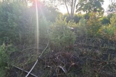 eRemiza_1119084_60f85ad61ecc5044d044d32c.ulG_.8