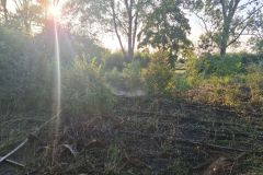 eRemiza_1119084_60f85ade1ecc5044d044d334.yCG_.8