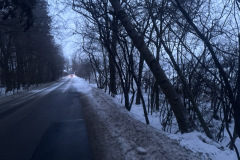#6 30.01.2026r. Żelazno - drzewo zagrażające powaleniem na drogę powiatową nr DP 1322G