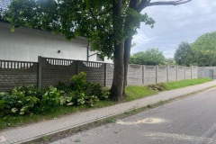 #60 07.07.2024r. Choczewo ul. Kusocińskiego - konar drzewa zwisający nad drogą powiatową nr DP 1437G