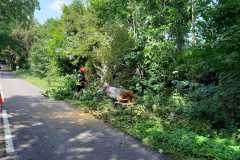 IMG-20190728-WA0000