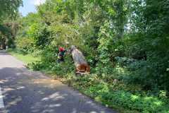 IMG-20190728-WA0001