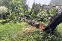 #61 11.07.2025r.  Lublewo Lęborskie - powalone drzewo na przejście między posesjami