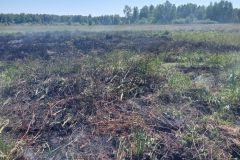 #61 12.06.2023r. Słajszewo - pożar nieużytków rolnych przy lesie