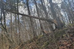eRemiza_1119084_625161541ecc5052b8780176.1OCV.8
