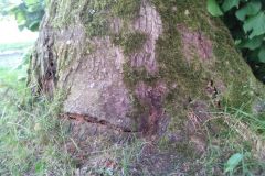 eRemiza_1119084_5ee520e81ecc506a847f4c83.vEn_.8
