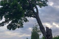 eRemiza_1119084_64a2fba6d4da761df429cf8b.llm_.8