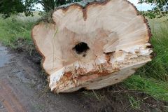 eRemiza_1119084_64a304bad4da761df429d021.xdJ_.8