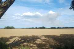 IMG-20190815-WA0002