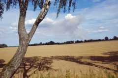IMG-20190815-WA0003