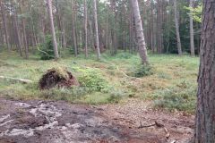 eRemiza_1119084_66b0c2e2d4da760978425dda.19rh.8