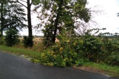 eRemiza_1119084_612796d91ecc50565004bf48.uXO_.8