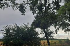 eRemiza_1119084_6127a2ac1ecc50565004c071.xdG_.8