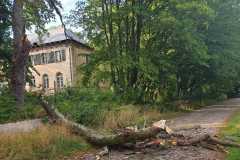 IMG-20190819-WA0005
