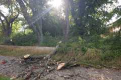 IMG-20190819-WA0006