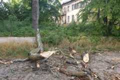 IMG-20190819-WA0007