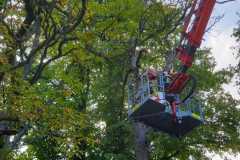IMG-20190819-WA0012