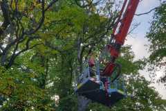 IMG-20190819-WA0014