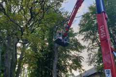 IMG-20190819-WA0015
