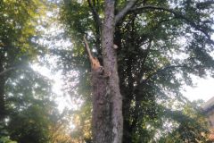 eRemiza_1119084_5d5acc691ecc504304a0492f.hF2_.8