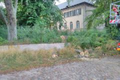 eRemiza_1119084_5d5ad5fc1ecc50498449fcb2.fRe_.8