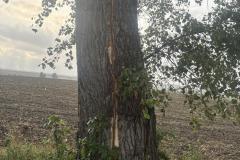 eRemiza_1119084_68bafee0d4da76054431ecdf.13Qk.8